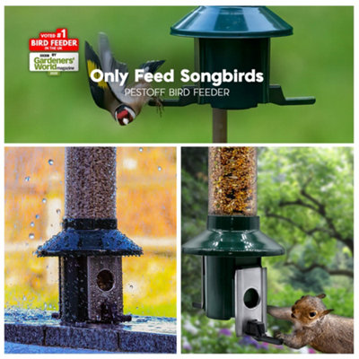 Roamwild bird store feeder