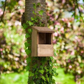 Robin Nest Box Natural Wood Nesting Wall Mounted House Garden Bird Shelter
