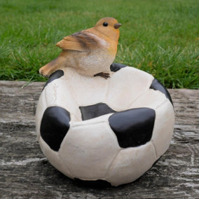 Robin on a Football Bird Feeder Small