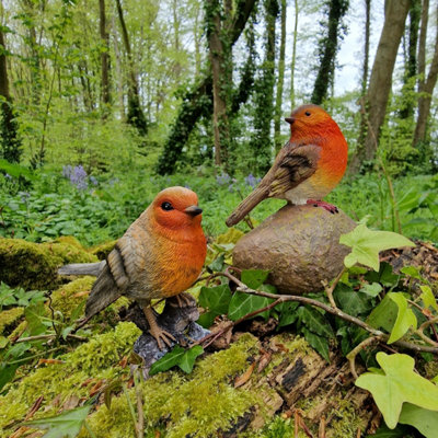 Robin on a Stone & Stump Resin Garden Ornaments (Set of 2)