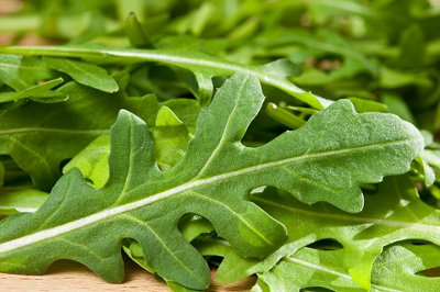 Rocket Wild Herb Seeds (Approx. 485 seeds) by Jamieson Brothers - 3