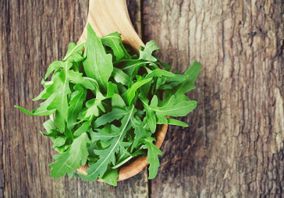 Rocket Wild Herb Seeds (Approx. 485 seeds) by Jamieson Brothers - 4