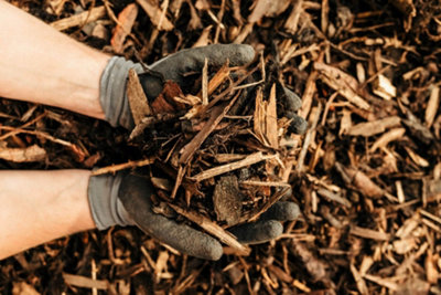 Rolawn Landscaping Bark Bulk Bag Mixed Conifer - 2 Bags - 1000 Litres - 1