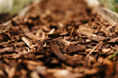 Rolawn Landscaping Bark Bulk Bag Mixed Conifer - 2 Bags - 1000 Litres - 3