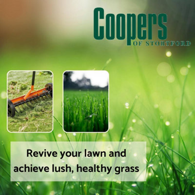Rolling Lawn Scarifier, Manual Moss Rake, 11 Sharp Blades, Adjustable Depth, Long Handle, Lawn Aerator for Healthy Grass