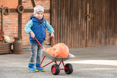 Rolly Childrens Wheelbarrow Double Wheel Silver Red