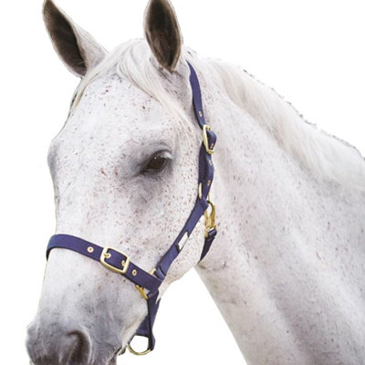 Roma Adjustable Horse Headcollar Navy (Warmblood) Price Comparisons | Compare The Build