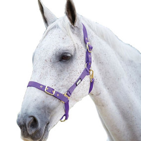 Roma Adjustable Horse Headcollar Purple (Full)