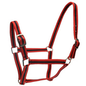 Roma Horse Headcollar and Leadrope Red/Navy (Full)