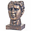 Roman Head Planter Indoor Outdoor - Resin - L24 x W28 x H39 cm - Antique Bronze