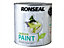 Ronseal 38512 Garden Paint Lime Zest 2.5L Exterior Outdoor Wood Shed Metal Brick