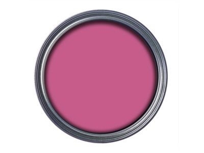 Ronseal 38513 Garden Paint Pink Jasmine 2.5L Exterior Outdoor Wood Shed Metal