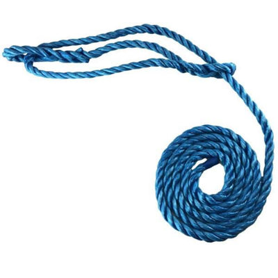 RopeServices UK 16mm Blue Polypropylene Plain Rope Halter x 6 Foot