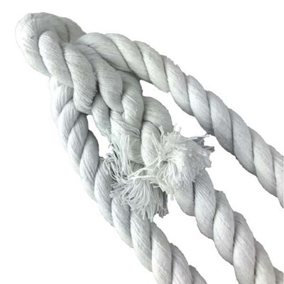 RopeServices UK 8mm Optic White Natural Cotton Plain Rope Halter x 8 Foot