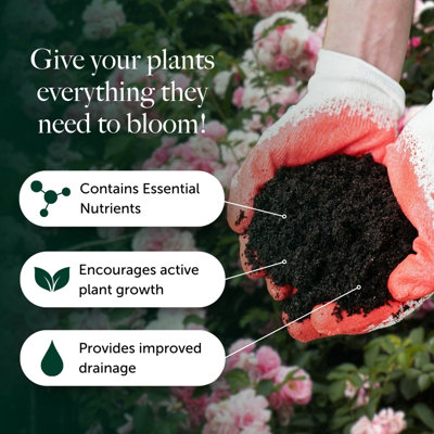 Rose, Tree & Shrub Compost with 9 Month Feed - 65L - Water Less Formula ...