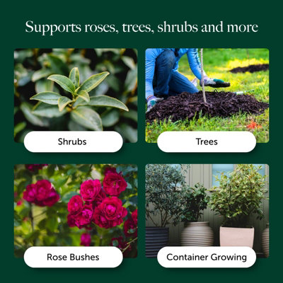 Rose, Tree & Shrub Compost with 9 Month Feed - 65L - Water Less Formula ...