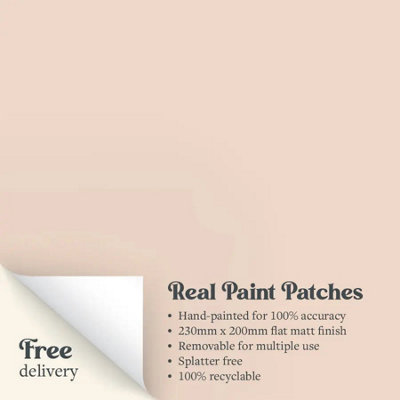 Rosebud Paint Patch Flat Matt Sample