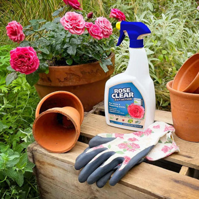 RoseClear 3 in 1 Action 800ml Kills Aphids Controls Fungus and Prevents ...