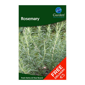 Rosemary (Rosemarinus officinalis)