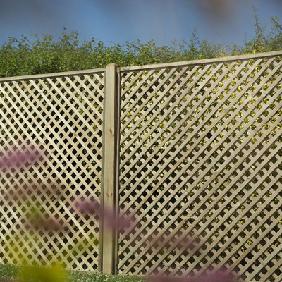 Rosemore Lattice - 180 x 180cm - Pack of 3