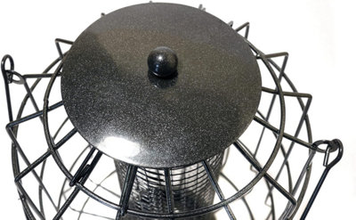 Rosewood Deluxe Squirrel Proof Bird Peanut Feeder Lantern - 3