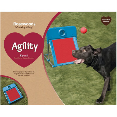 Waarom agility zo leuk is om te doen met je hond