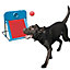 Rosewood Dog Agility Flyball Kit