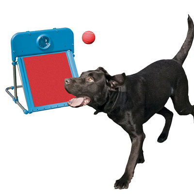 Rosewood Dog Agility Flyball Kit