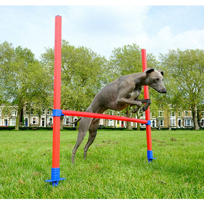 Rosewood Dog Agility Training Set – Hurdle, Hoop, Tunnel, Slalom – Small Puppy Equipment