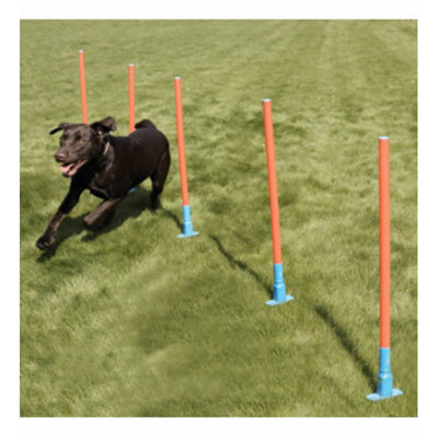 Rosewood Dog Agility Slalom Activity Set