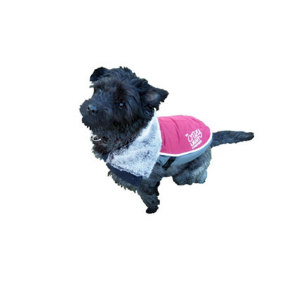 Light up best sale dog jacket