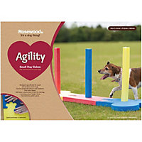 Rosewood Small Dog Agility Slalom