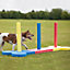 Rosewood Small Dog Agility Slalom