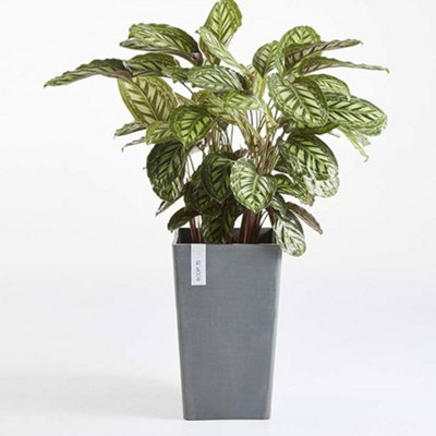 Rotterdam Medium Tall Vase Ecopots