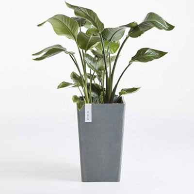 Rotterdam Medium Tall Vase Ecopots