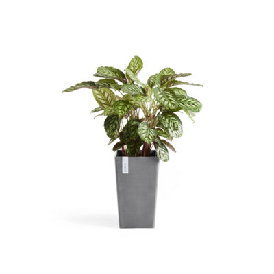 Rotterdam Medium Tall Vase Ecopots - 3