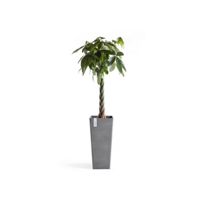 Rotterdam Smooth Finish Tall Vase Grey - 3