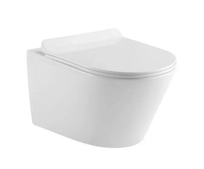 Round Back To Wall BTW Toilet Soft Close Seat Free Pan Fixing Kit