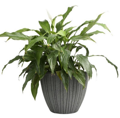 Round Flower Pot Outdoor Indoor Ridged Planter Pot Textured Decorative ...