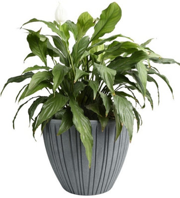 Round Flower Pot Outdoor Indoor Ridged Planter Pot Textured Decorative ...