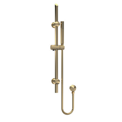 Round Slide Rail Shower Kit with Outlet Elbow - Brushed Brass