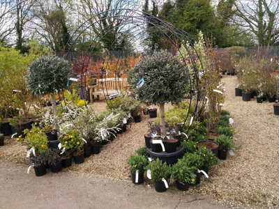 Round Tunnel (Including Ground Spikes) Bare Metal - Ready to Rust - Steel - L228.6 x W238.8 x H66 cm