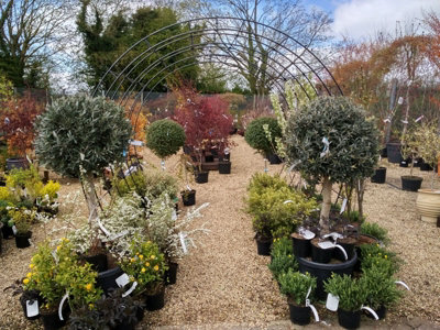 Round Tunnel (Including Ground Spikes) Bare Metal - Ready to Rust - Steel - L228.6 x W238.8 x H66 cm - 5
