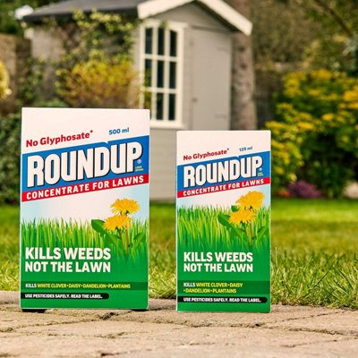 Roundup  Powerful Lawn Weed Killer - Glyphosate-Free - CONCENTRATE - 125 ml