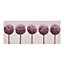 Row Of Alliums Printed Canvas Floral Wall Art
