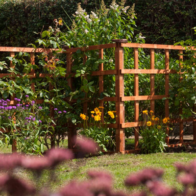 Rowlinson 6x2 Heavy Duty Trellis Dip Treated Pack of 3