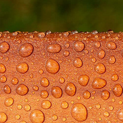 Roxil Wood Waterproofing Liquid (5L Clear)  Wood Preserver Outdoor, Wood Sealer for Decking, Fence, Sheds and Furniture