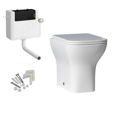 Buy Royal Bathrooms Qubix Rimless Back To Wall Toilet with Concealed ...