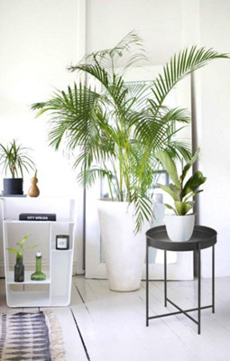 Rozi Black Round Side Table - 56 cm (H) x 41 cm (Dia)