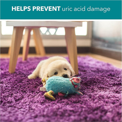 RSPCA 5L Cat Pet Stain and Odour Remover Wee Away - 4